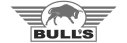 bulls
